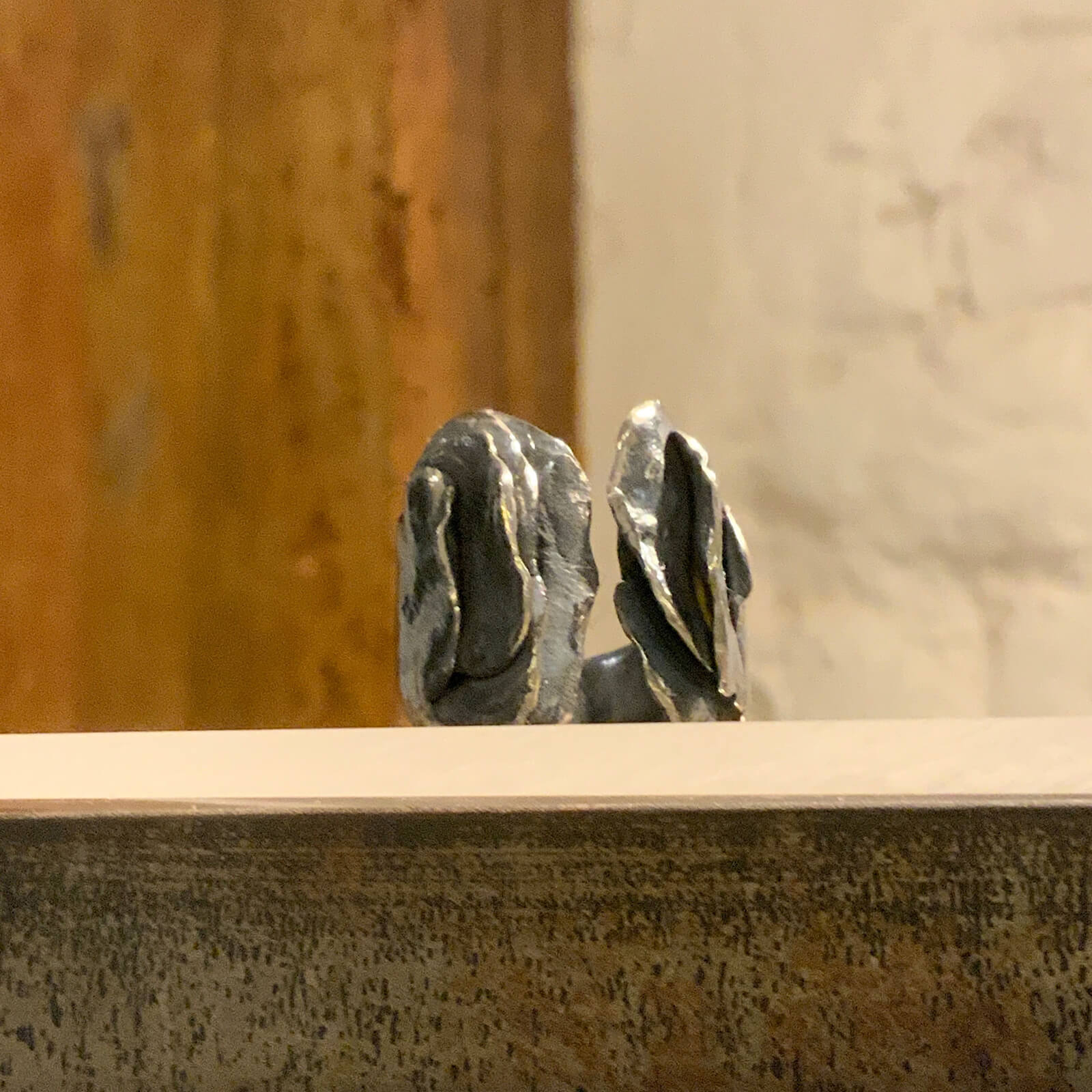 Dos anillos de plata martilleada